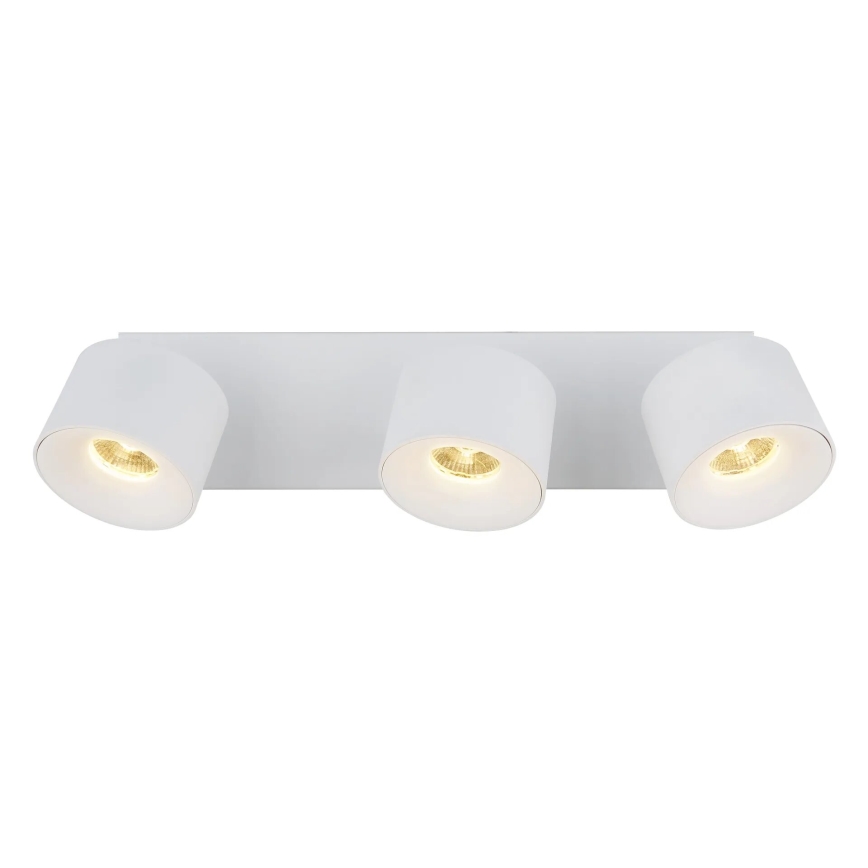 Globo - LED Bodové svítidlo 3xLED/6W/230V bílá