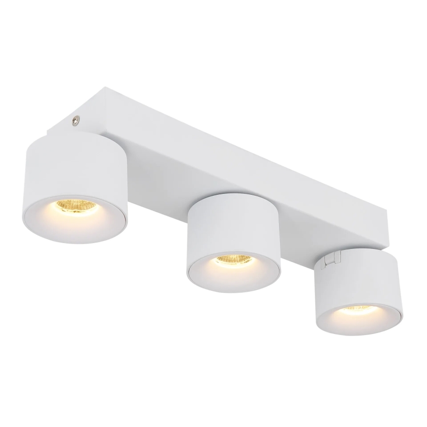 Globo - LED Bodové svítidlo 3xLED/6W/230V bílá