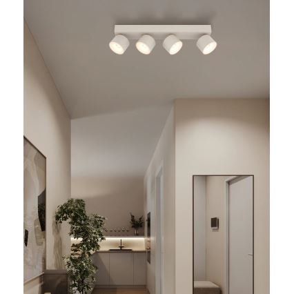 Globo - LED Bodové svítidlo 4xLED/6W/230V