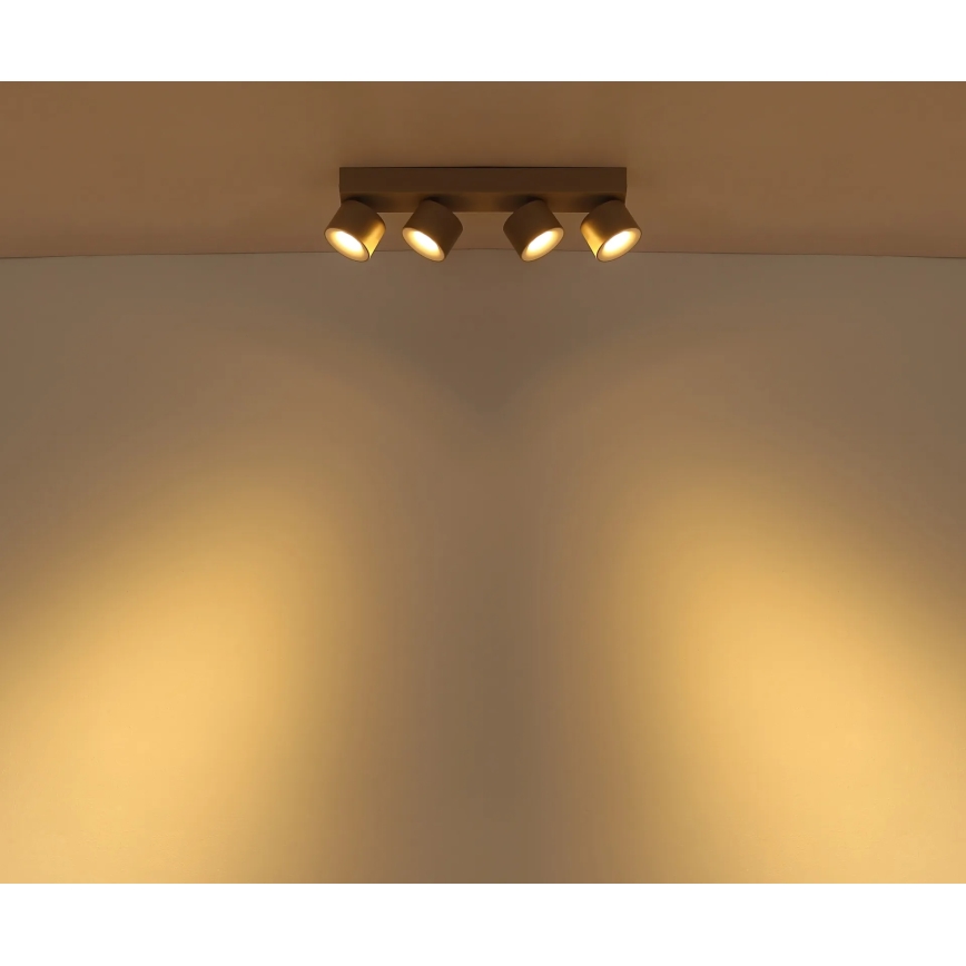 Globo - LED Bodové svítidlo 4xLED/6W/230V