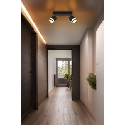 Globo - LED Bodové svítidlo 2xGX53/7W/230V 3000K