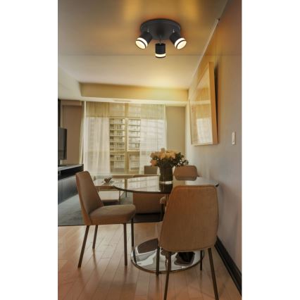 Globo - LED Bodové svítidlo 3xGX53/7W/230V 3000K