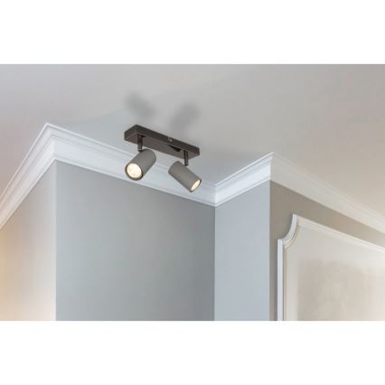 Globo - Bodové svítidlo 2xGU10/25W/230V