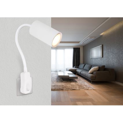 Globo - Nástěnné bodové svítidlo do zásuvky 1xGU10/35W/230V bílá