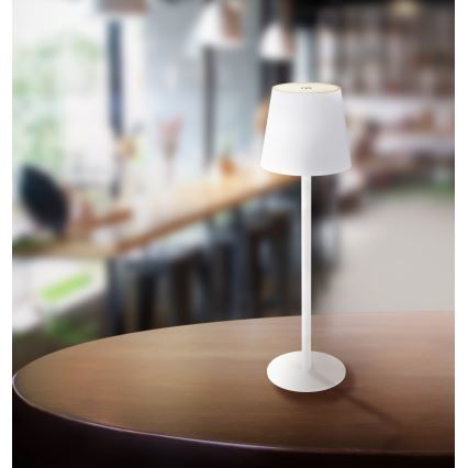 Globo - LED Stmívatelná dotyková venkovní lampa LED/3W/3,7V IP44 1800 mAh USB bílá