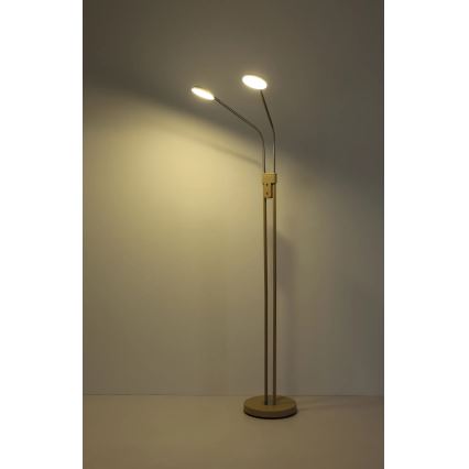 Globo - LED Stmívatelná stojací lampa 2xLED/6,5W/230V 2700/3350/4000K béžová