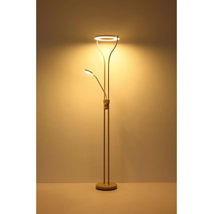 Globo - LED Stmívatelná stojací lampa LED/20W/230V + LED/4W 3000K