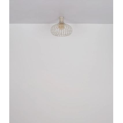 Globo - Stropní svítidlo 1xE27/40W/230V