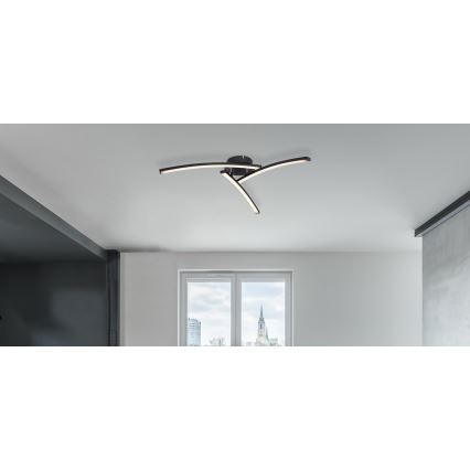 Globo - LED Přisazený lustr 3xLED/6W/230V 3000/4000/6000K
