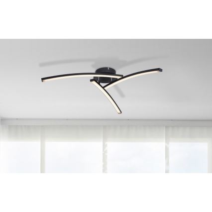 Globo - LED Přisazený lustr 3xLED/6W/230V 3000/4000/6000K