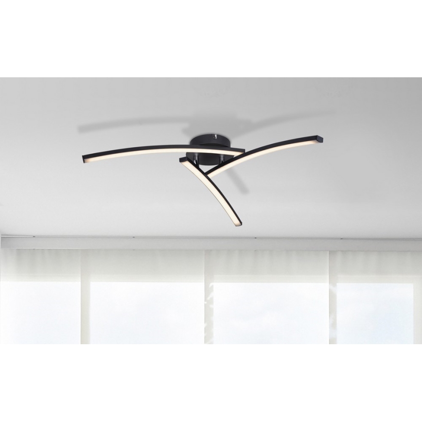 Globo - LED Přisazený lustr 3xLED/6W/230V 3000/4000/6000K