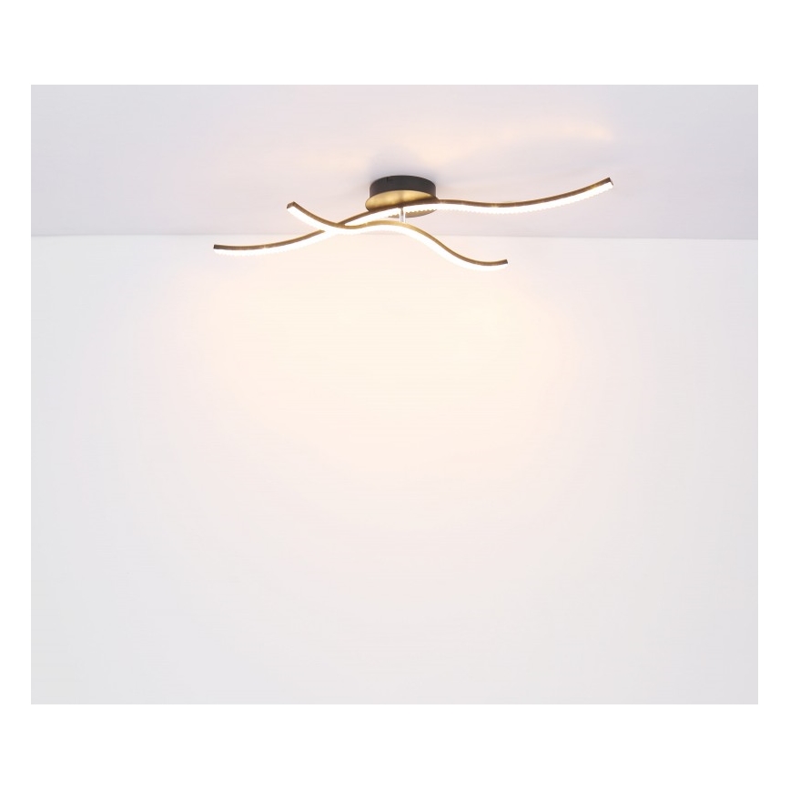 Globo - LED Přisazený lustr LED/20W/230V