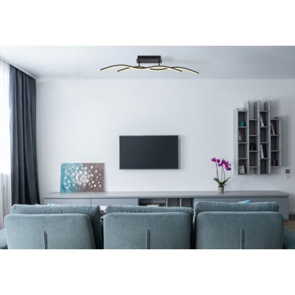 Globo 67172D - LED Stropní svítidlo MARIUS LED/20W/230V 3000K