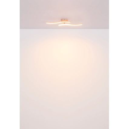 Globo - LED Přisazený lustr LED/12W/230V 3000K oranžová