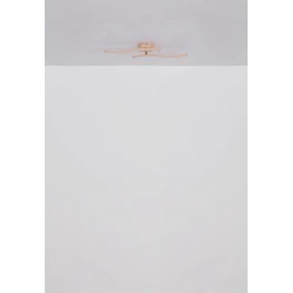 Globo - LED Přisazený lustr LED/12W/230V 3000K oranžová