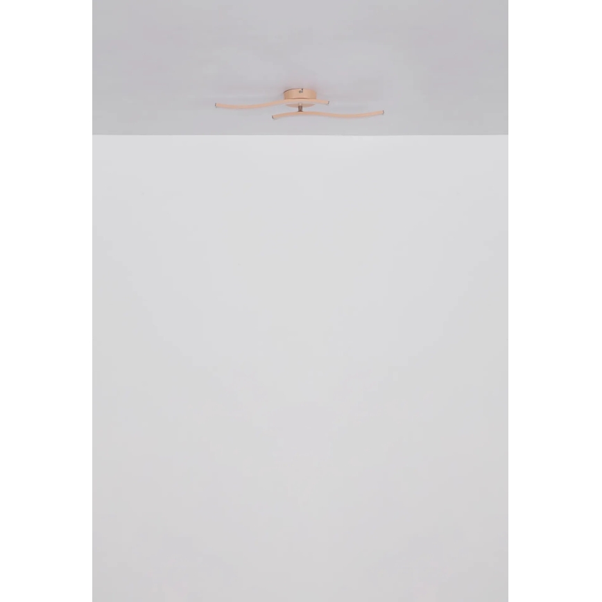 Globo - LED Přisazený lustr LED/12W/230V 3000K oranžová