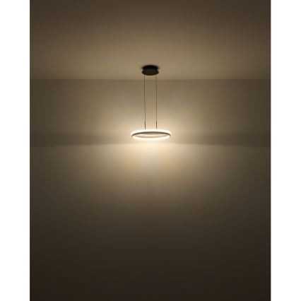 Globo - LED Lustr na lanku LED/40W/230V 3000/4000/6000K pr. 39,7 cm hnědá