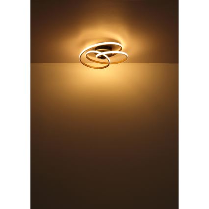 Globo - LED Přisazený lustr LED/40W/230V 3000K zlatá/černá