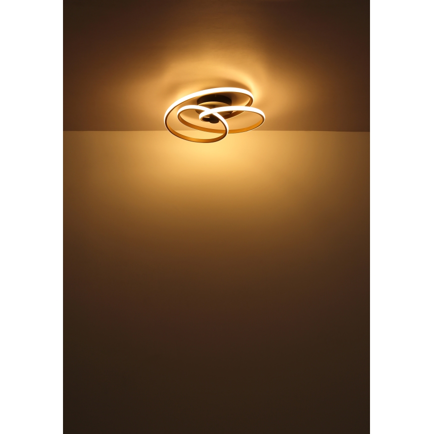 Globo - LED Přisazený lustr LED/40W/230V 3000K zlatá/černá