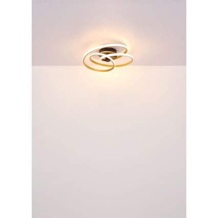 Globo - LED Přisazený lustr LED/40W/230V 3000K zlatá/černá
