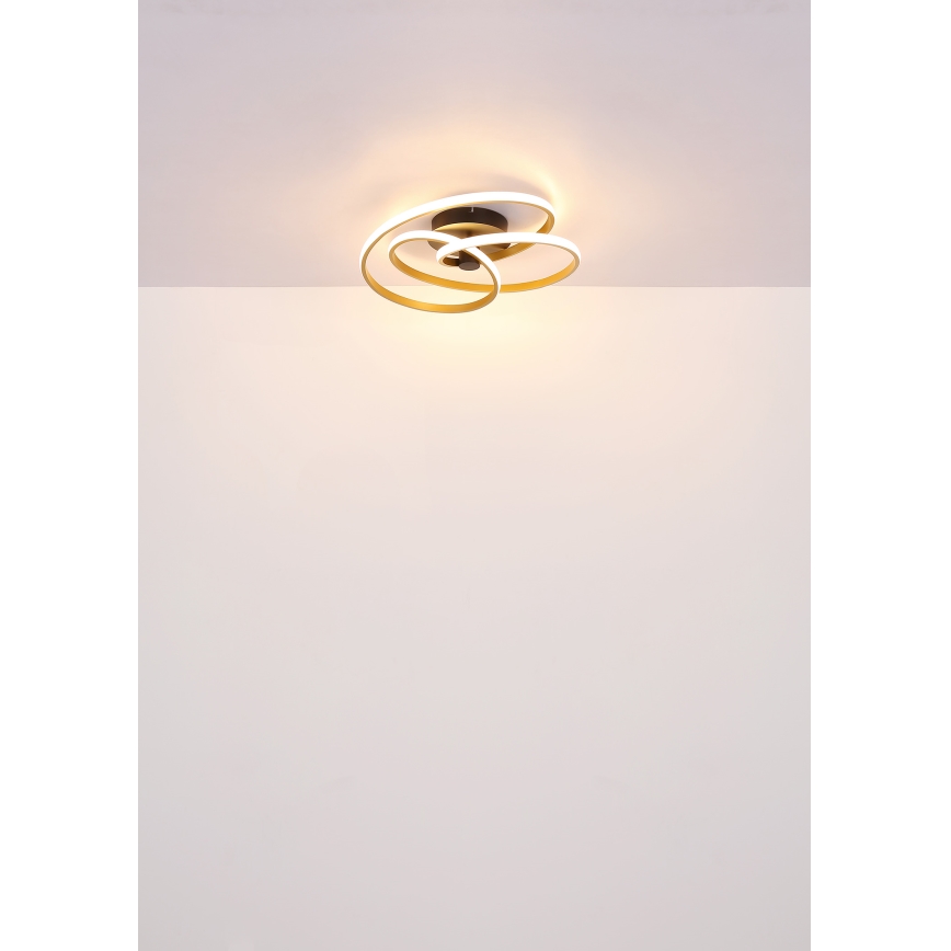 Globo - LED Přisazený lustr LED/40W/230V 3000K zlatá/černá