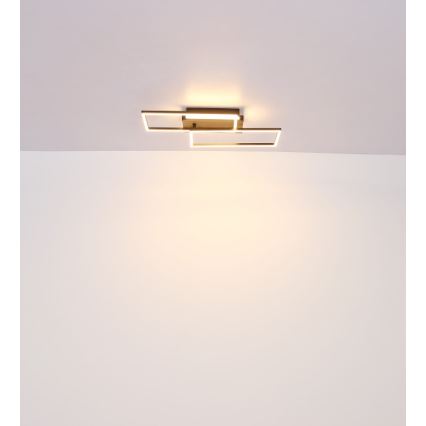 Globo - LED Stropní svítidlo LED/40W/230V 62x27 cm matný chrom/černá
