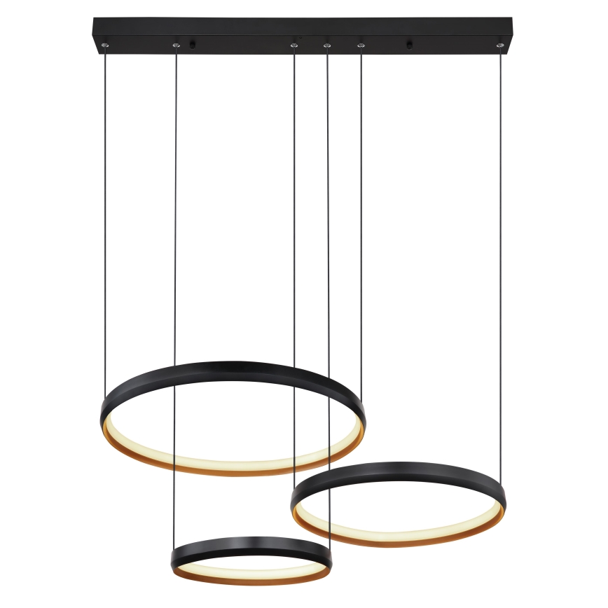 Globo - LED Stmívatelný lustr na lanku LED/55W/230V 2700-6000K + dálkové ovládání