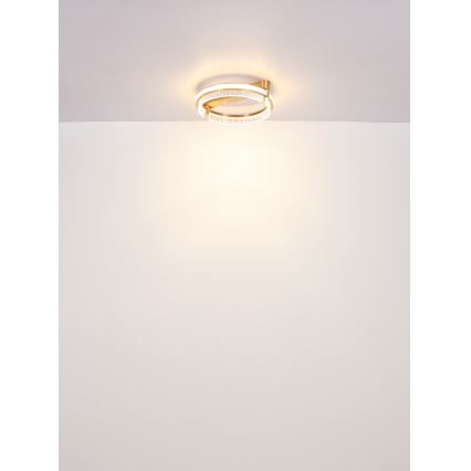 Globo - LED Stmívatelné křišťálové stropní svítidlo LED/36W/230V 2700K-6000K + dálkové ovládání