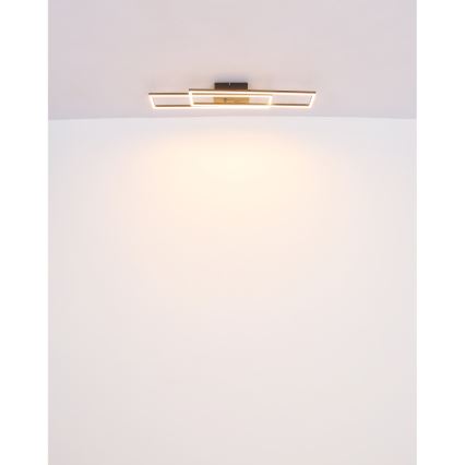 Globo - LED Stropní svítidlo LED/30W/230V 3000K 60x80 cm černá