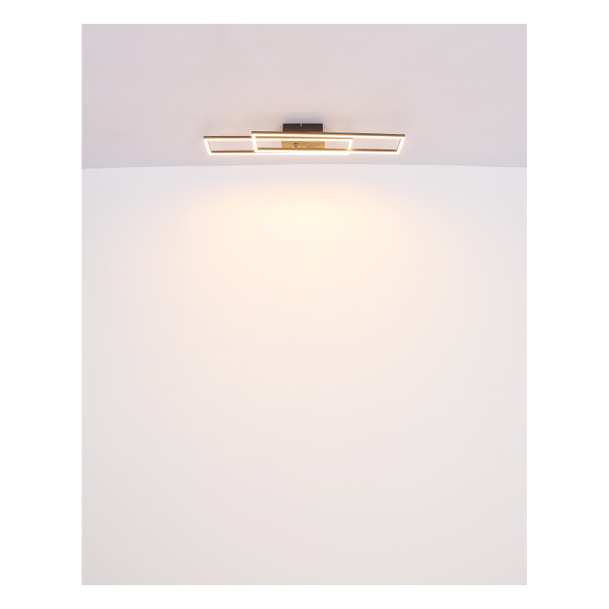 Globo - LED Stropní svítidlo LED/30W/230V 3000K 60x80 cm černá