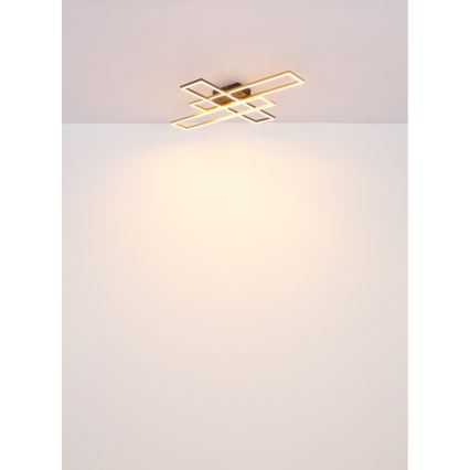 Globo - LED Stropní svítidlo LED/30W/230V 3000K 60x80 cm černá/zlatá