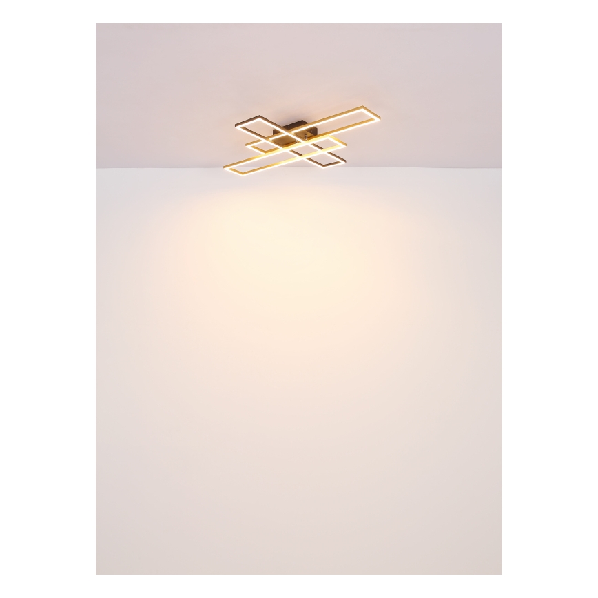 Globo - LED Stropní svítidlo LED/30W/230V 3000K 60x80 cm černá/zlatá