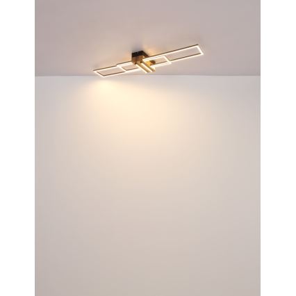 Globo - LED Stropní svítidlo LED/40W/230V 3000K 25x100 cm černá