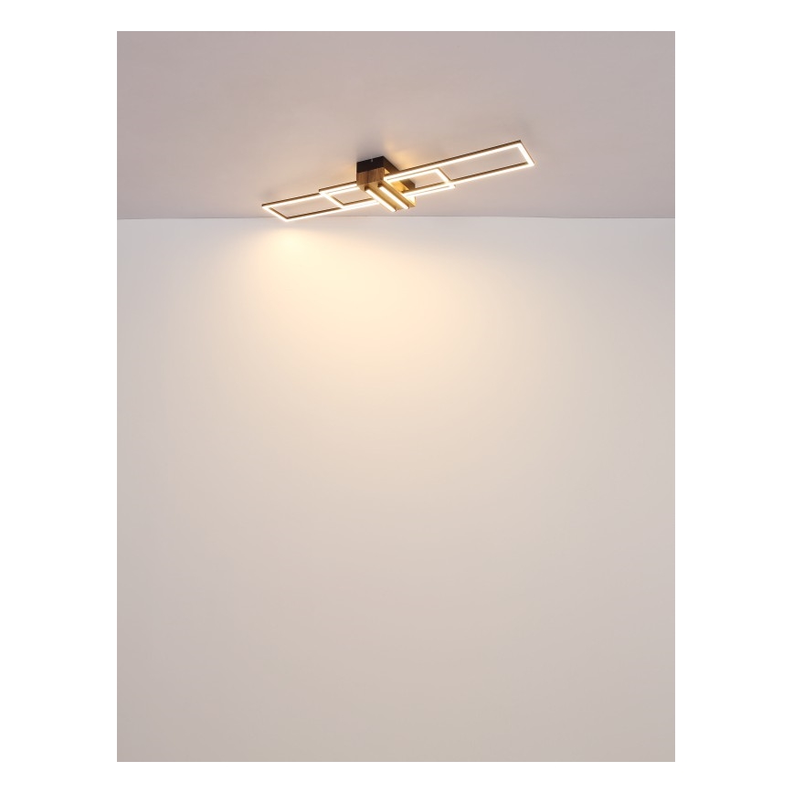 Globo - LED Stropní svítidlo LED/40W/230V 3000K 25x100 cm černá