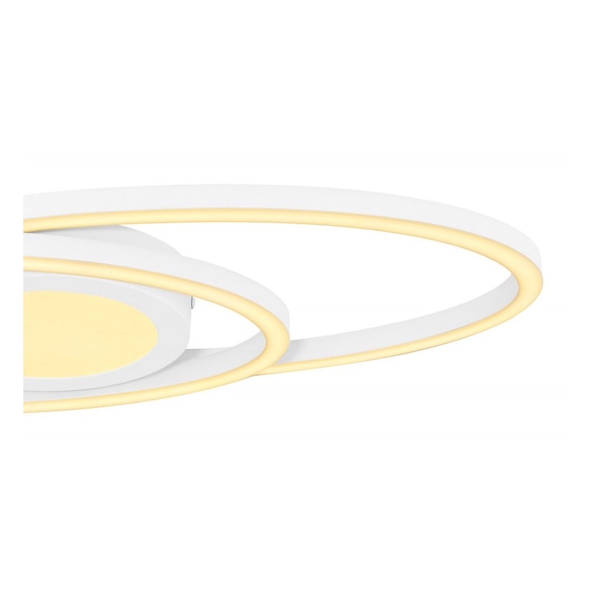 Globo - LED Stropní svítidlo LED/24W/230V