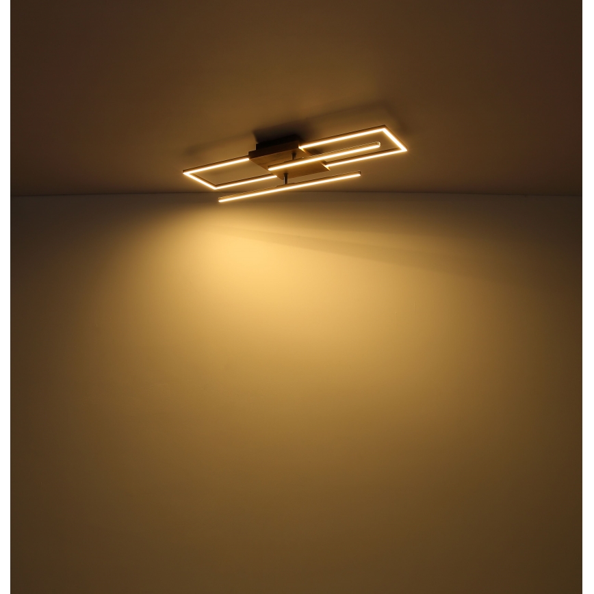 Globo - LED Stropní svítidlo LED/18W/230V