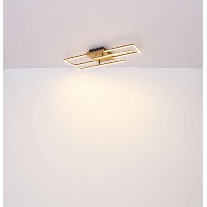 Globo - LED Stropní svítidlo LED/18W/230V