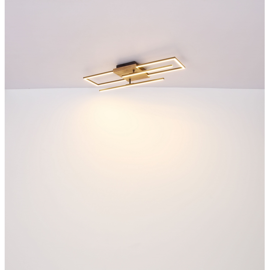Globo - LED Stropní svítidlo LED/18W/230V
