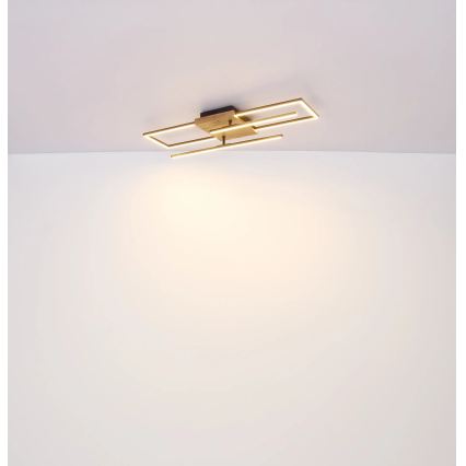 Globo - LED Stropní svítidlo LED/24W/230V 3000K 20x80 cm