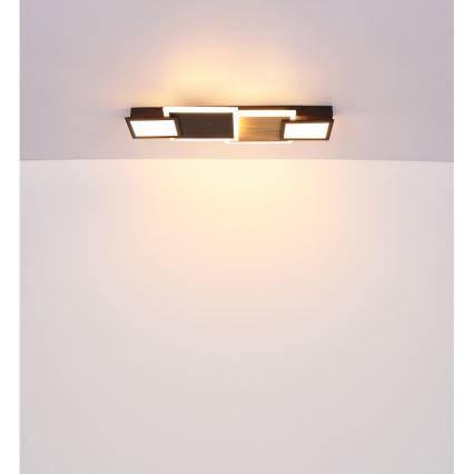 Globo 67279-30 - LED Stropní svítidlo CAROLINE LED/30W/230V 25x71,5 cm béžová/černá