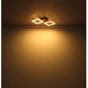 Globo - LED Přisazený lustr LED/30W/230V
