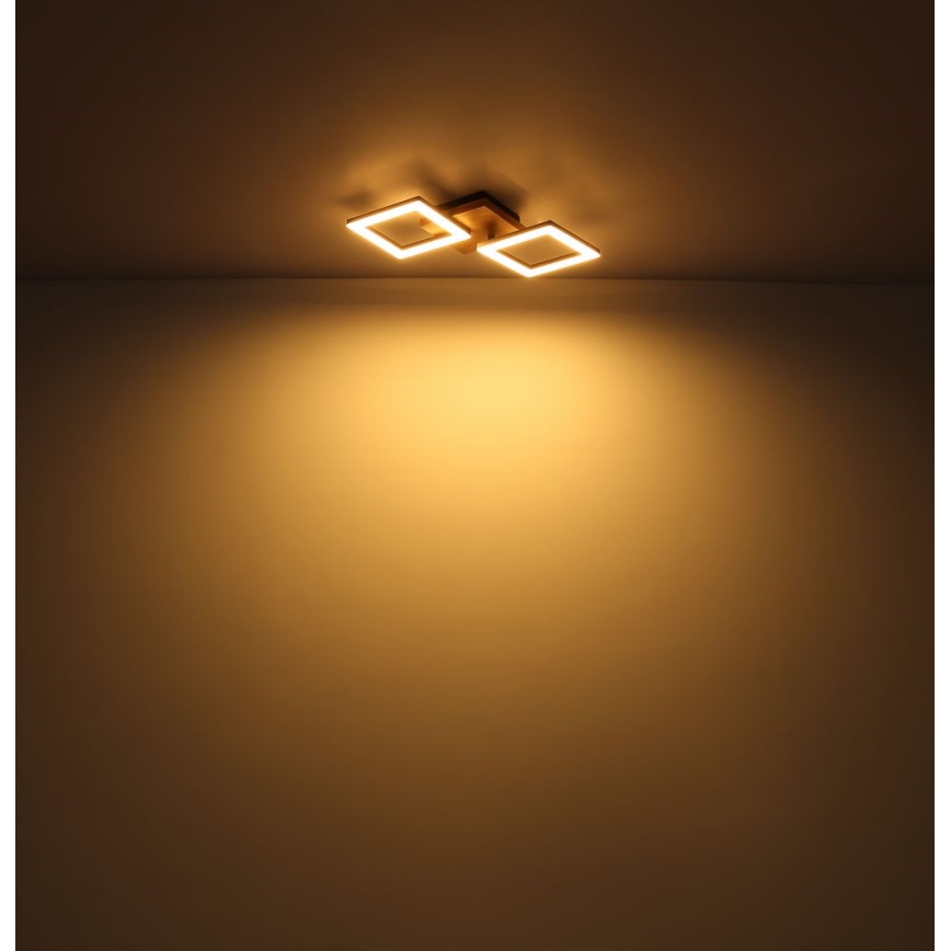 Globo - LED Přisazený lustr LED/30W/230V