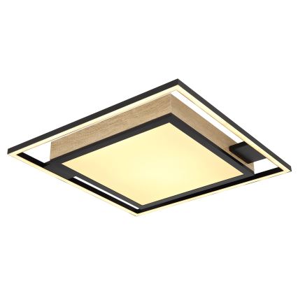 Globo - LED Stmívatelné stropní svítidlo LED/40W/230V 2700-6500K + dálkové ovládání