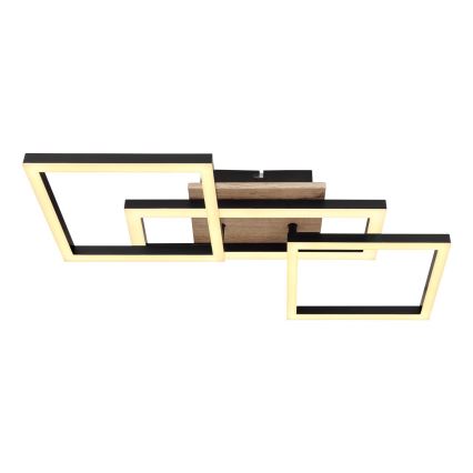 Globo - LED Stropní svítidlo LED/24W/230V 3000K