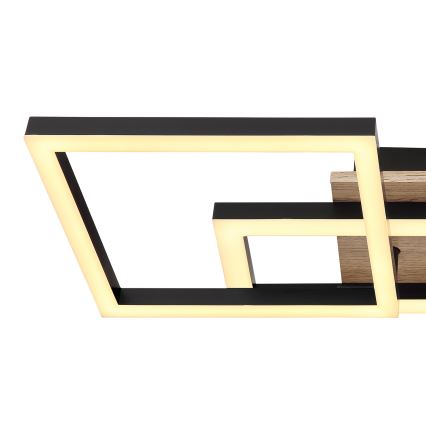 Globo - LED Stropní svítidlo LED/24W/230V 3000K