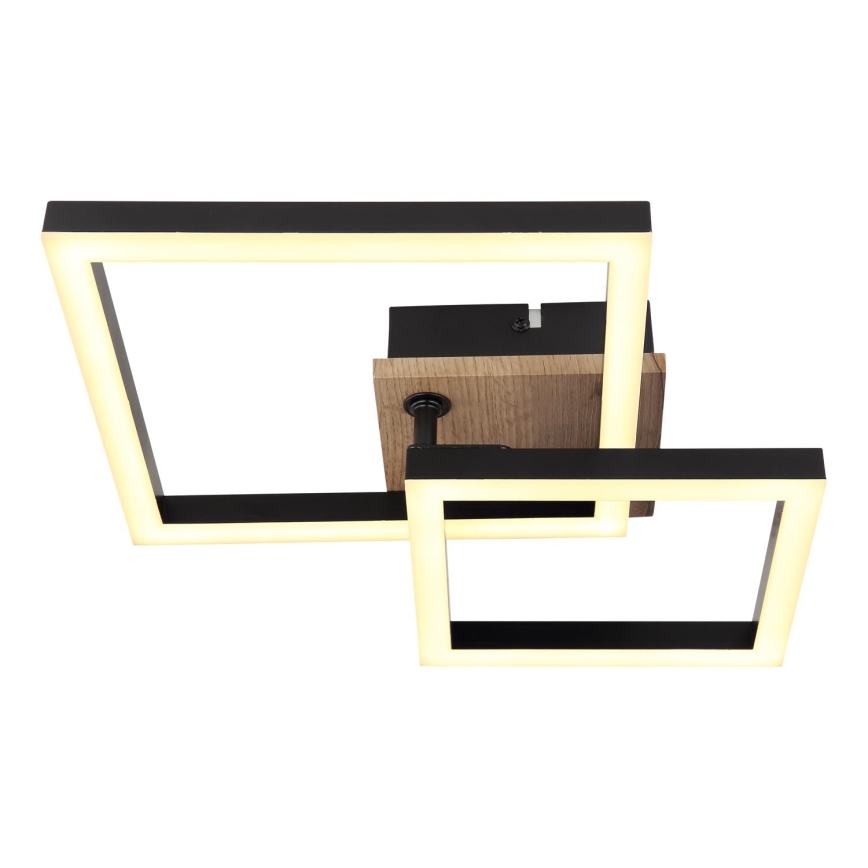 Globo - LED Stropní svítidlo LED/15W/230V 3000K