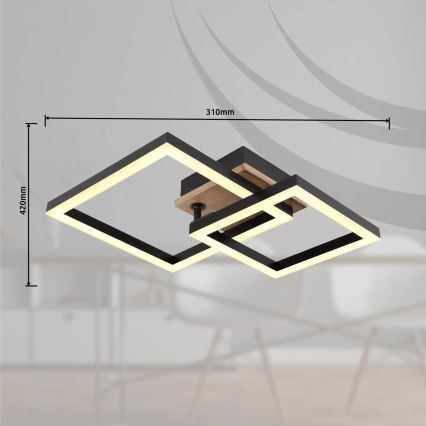 Globo - LED Stropní svítidlo LED/15W/230V 3000K