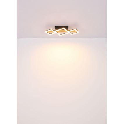 Globo - LED Stropní svítidlo LED/29W/230V