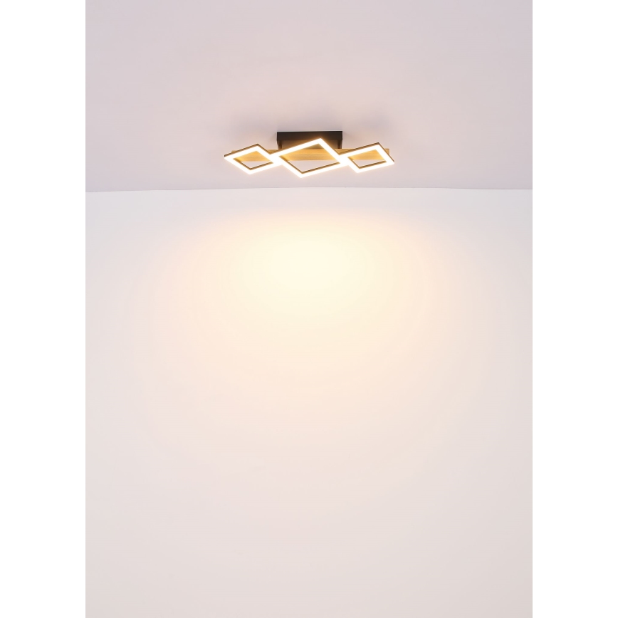 Globo - LED Stropní svítidlo LED/29W/230V