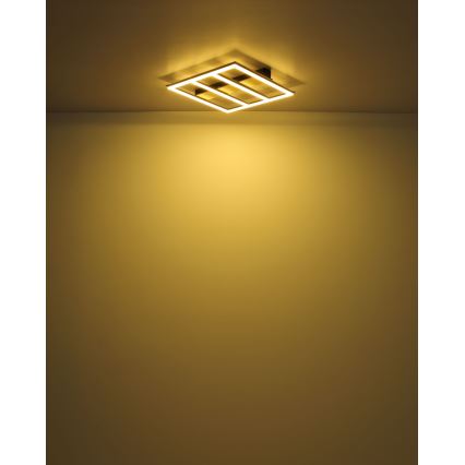 Globo - LED Stropní svítidlo LED/18W/230V 3000K 30x30 cm